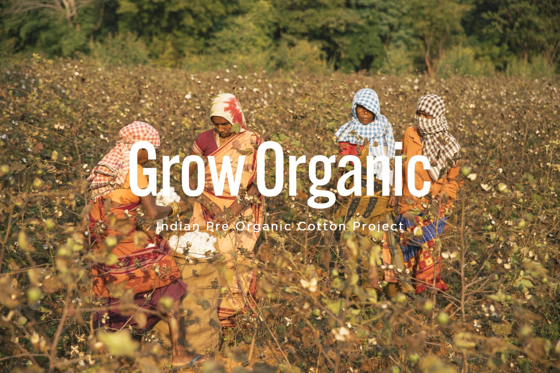 PBPが支援パートナーとして参加する <br>オーガニック移⾏⽀援プログラム「Grow Organic」がスタート